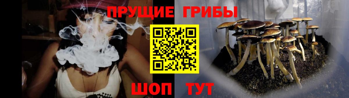Новороссийск  Галлюциногенные грибы мухоморы  Вход с VPN 
